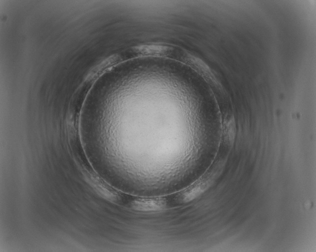 X0000085310381200703091452