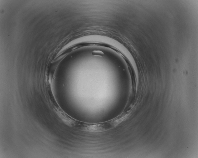 X0000085310382200703091452