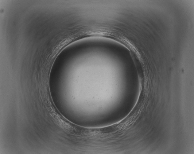 X0000085310385200703091451