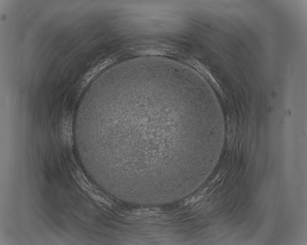 X0000085310386200703091451