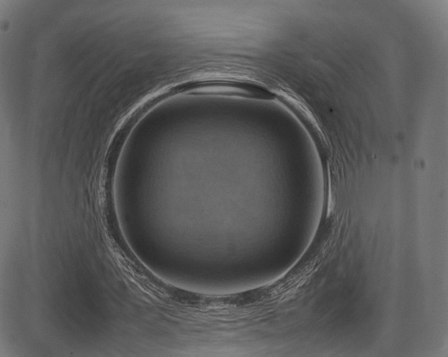 X0000085310387200703091451