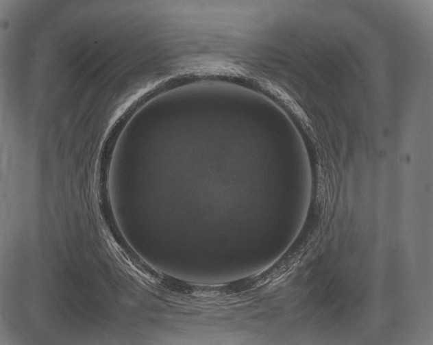 X0000085310391200703091451
