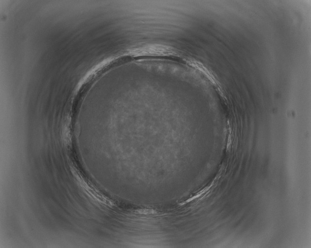 X0000085310392200703091451