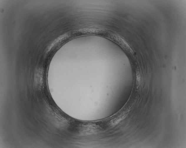 X0000085310396200703091451