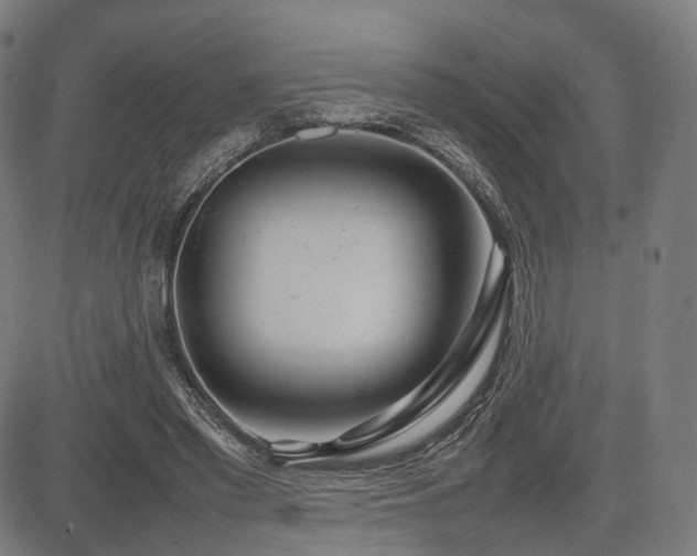 X0000085310397200703091451