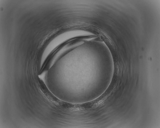 X0000085310404200703091451