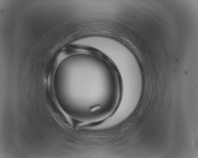 X0000085310405200703091451