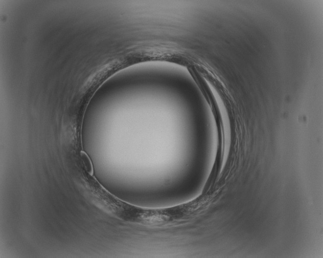 X0000085310407200703091451