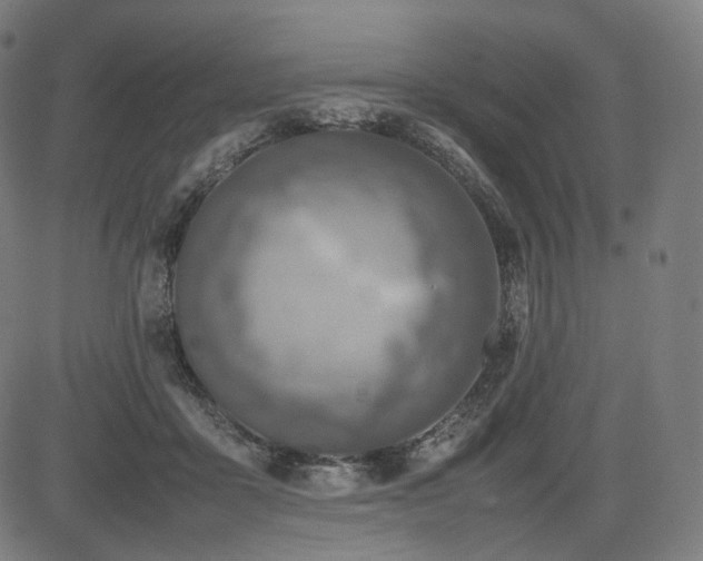 X0000085310411200703091451