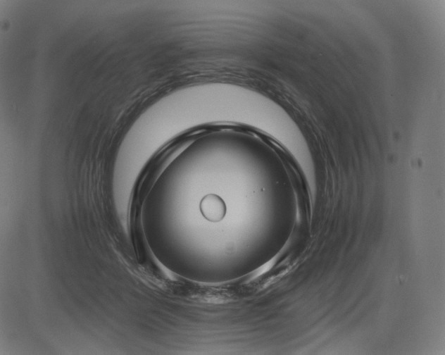 X0000085310412200703091451