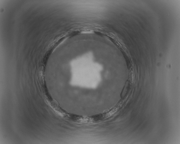 X0000085310415200703091451