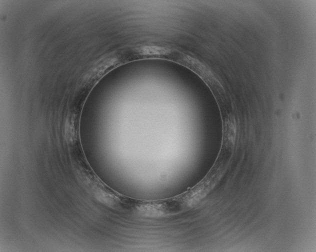 X0000085310422200703091451