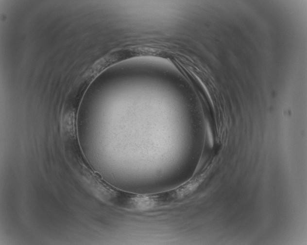 X0000085310425200703091450