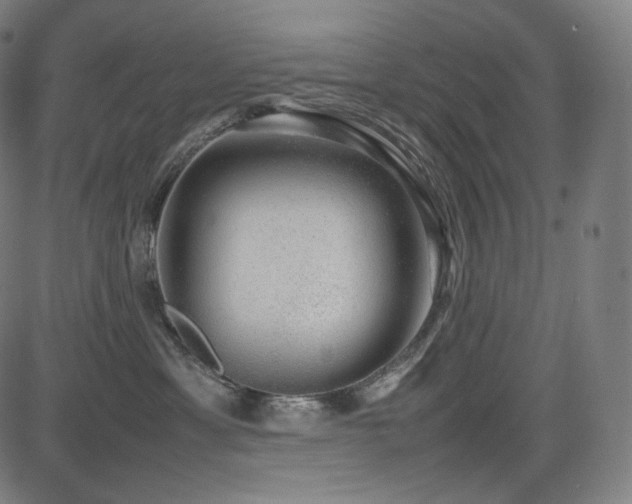 X0000085310429200703091450