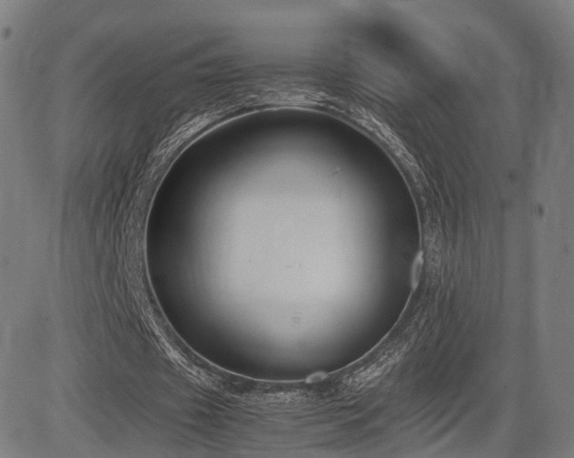 X0000085310433200703091450
