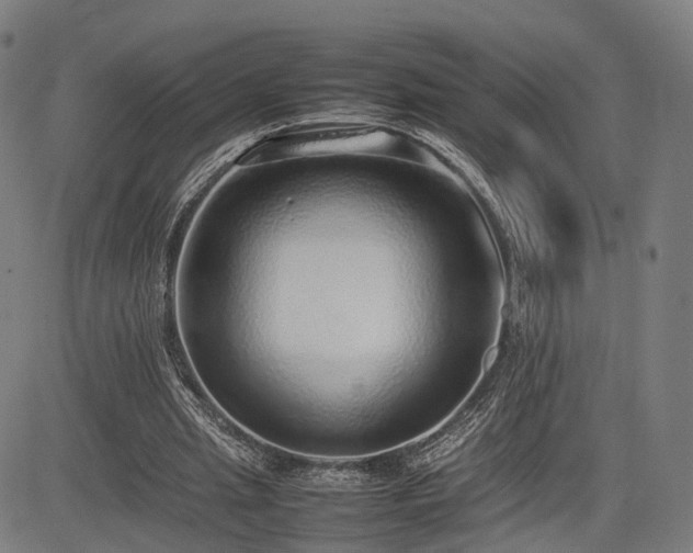 X0000085310437200703091450