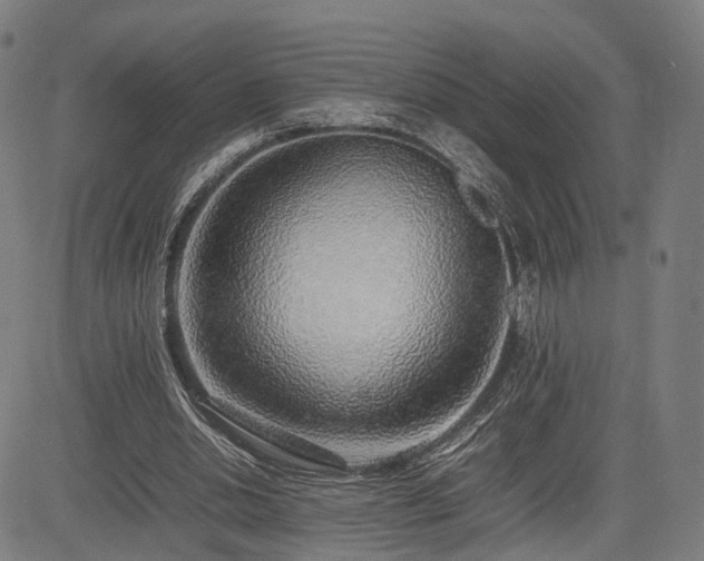X0000085310438200703091450