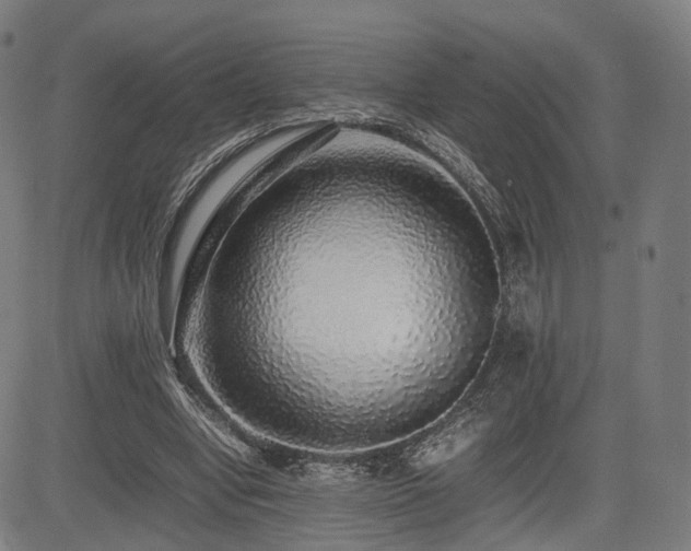 X0000085310442200703091450