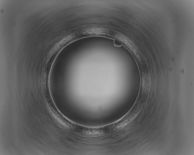 X0000085310445200703091450