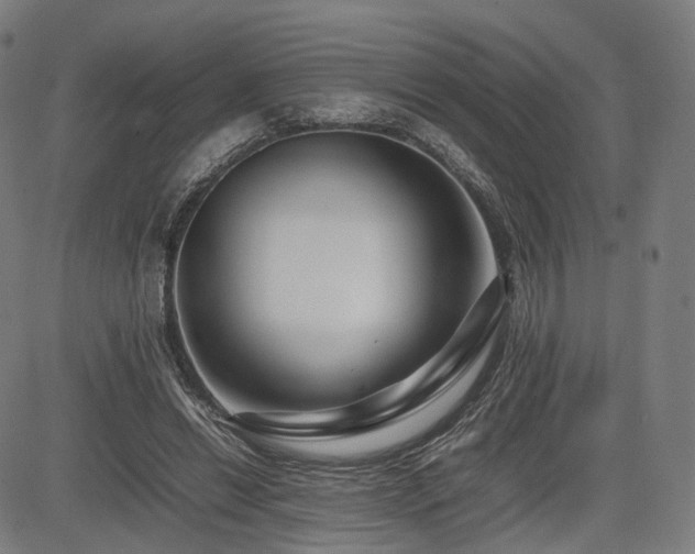 X0000085310446200703091450