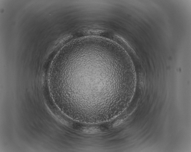 X0000085310451200703091450
