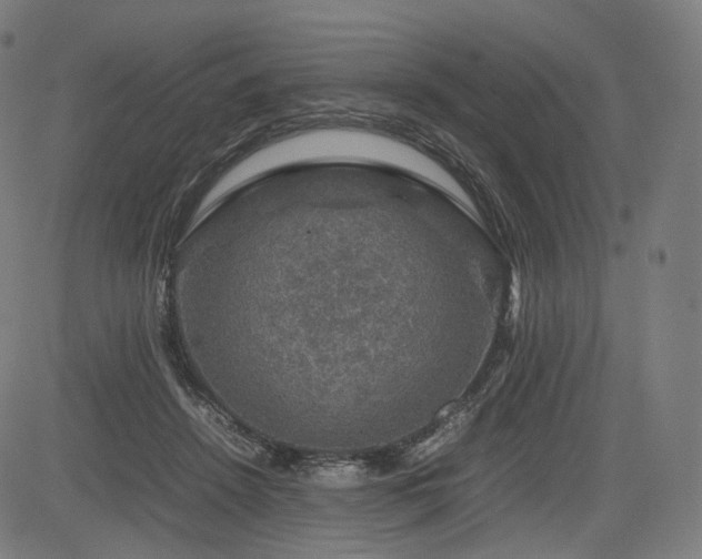 X0000085310456200703091450