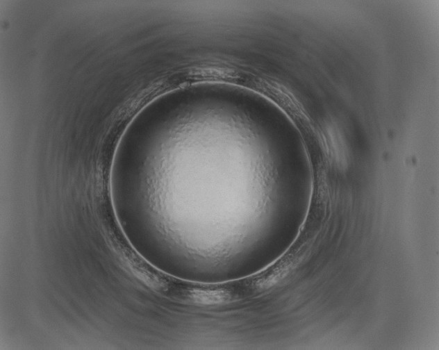 X0000085310457200703091450