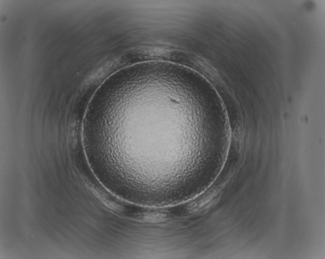 X0000085310462200703091450