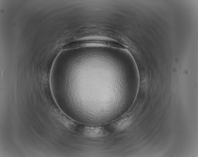 X0000085310469200703091450