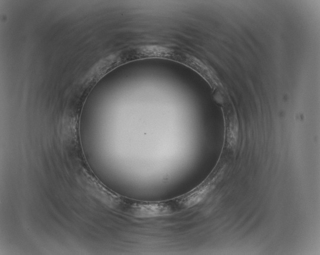 X0000085310473200703091450