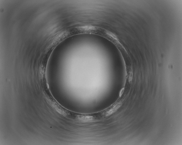 X0000085310476200703091450