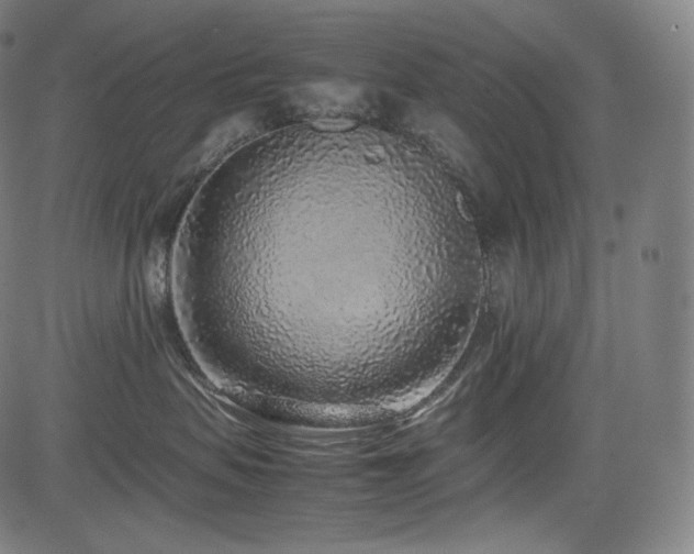 X0000085310479200703091450