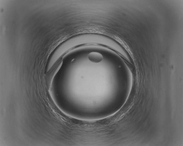 X0000085310481200703091450