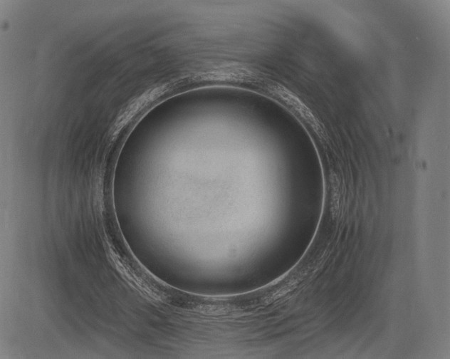 X0000085310482200703091450