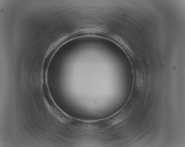 X0000085310486200703091449