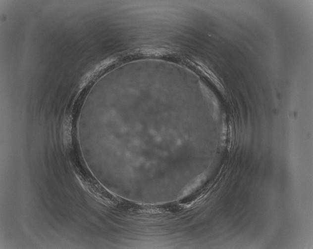 X0000085310492200703091449