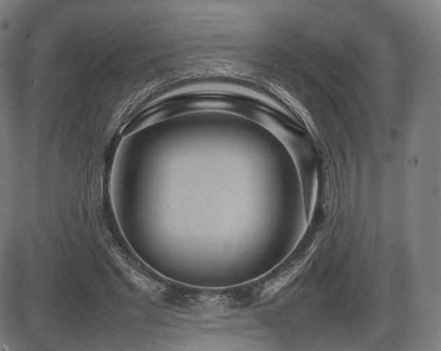 X0000085310493200703091449