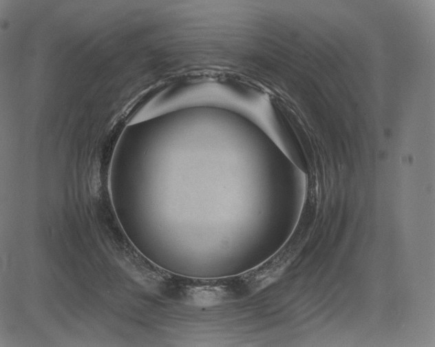 X0000085310508200703091449