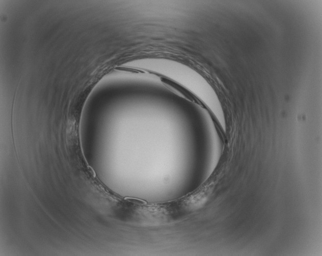 X0000085310521200703091449