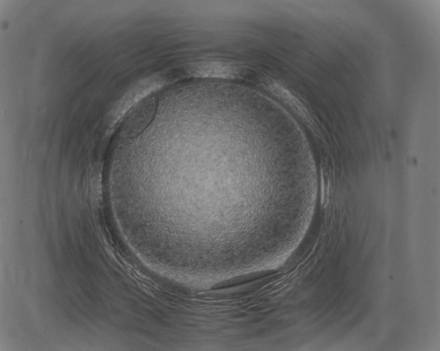 X0000085310531200703091448
