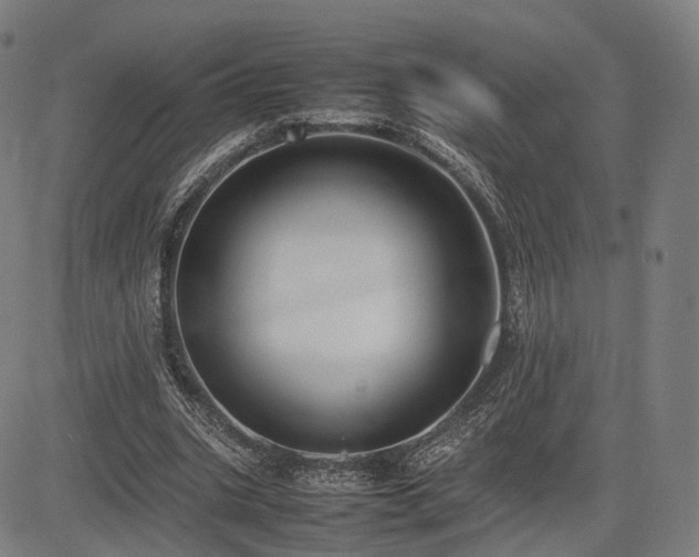 X0000085310535200703091448