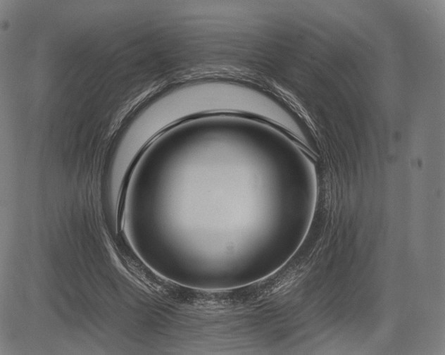X0000085310538200703091448
