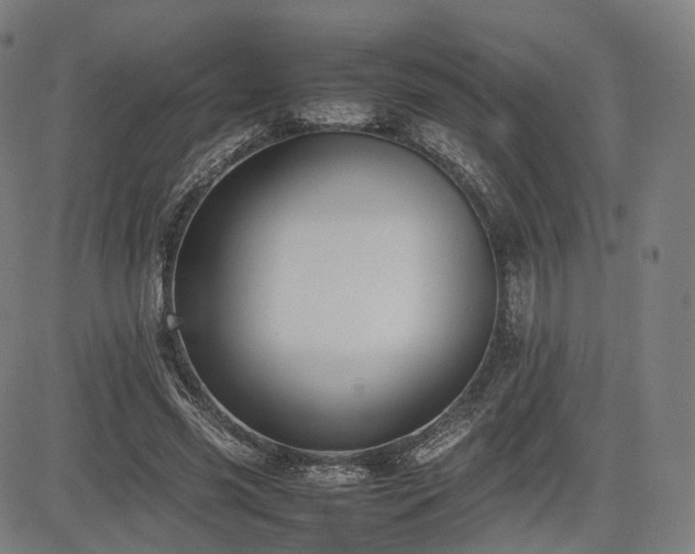 X0000085310541200703091448