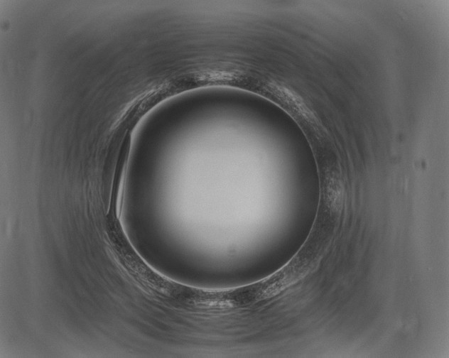 X0000085310543200703091448