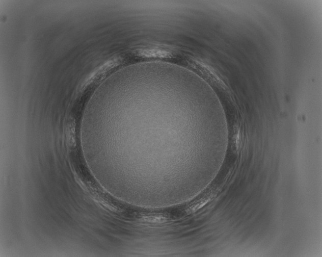 X0000085310547200703091448