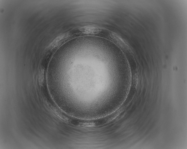 X0000085310554200703091448