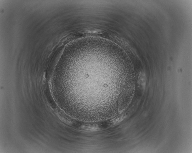 X0000085310559200703091448