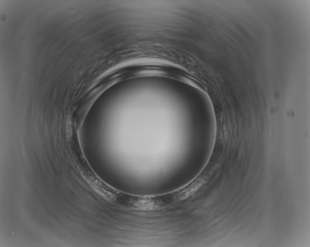X0000085310562200703091449