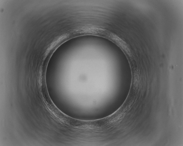 X0000085310578200703091448