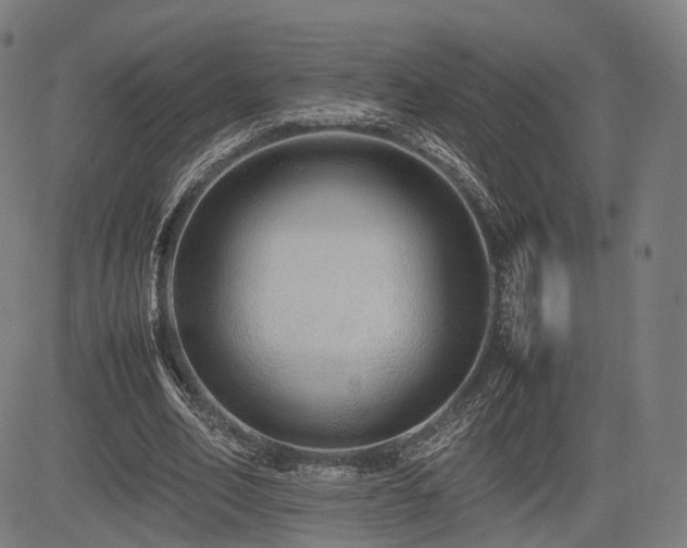 X0000085310582200703091448